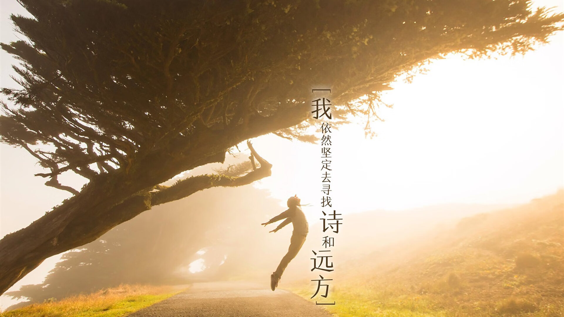 电竞官方赛事标准持续优化推动行业健康发展,电竞的赛制