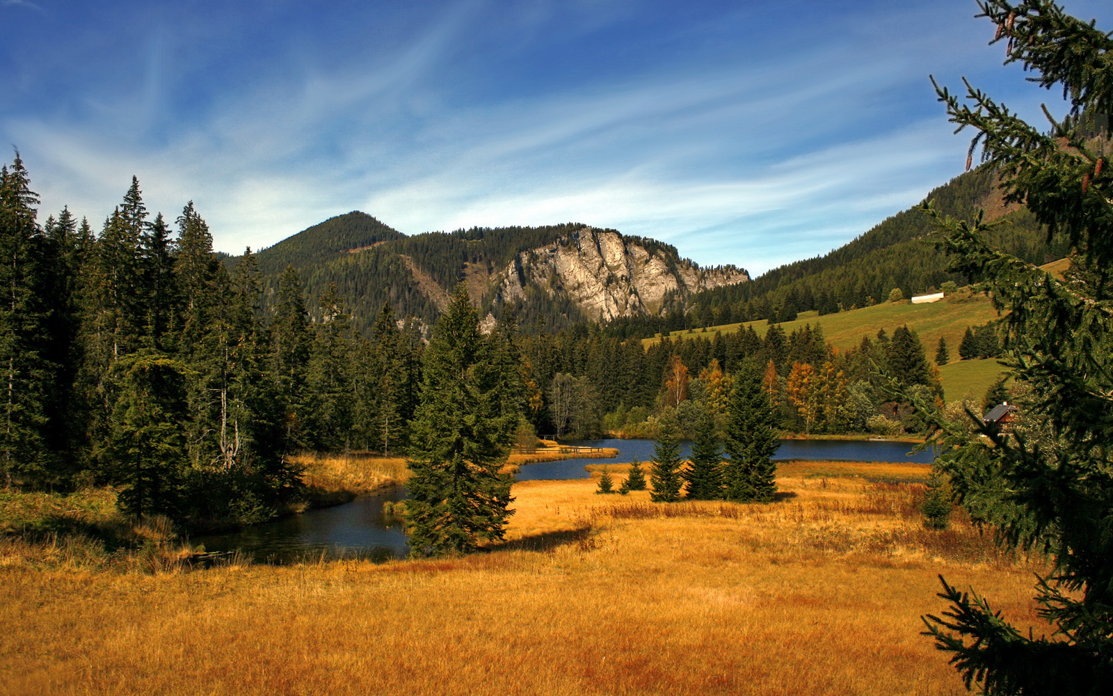 “尼古拉斯·桑特基的精准远射与高效传球,成为美洲狮队攻守兼备的核心”